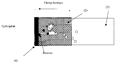 Une figure unique qui représente un dessin illustrant l'invention.